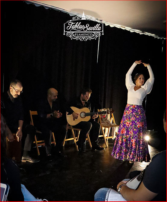 Bailaora Flamenca